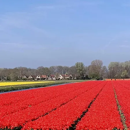 Tapuit 8-1 By Interhome Vakantiepark Noordwijk