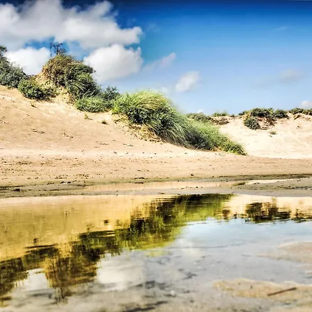 Tapuit 8-1 By Interhome Noordwijk