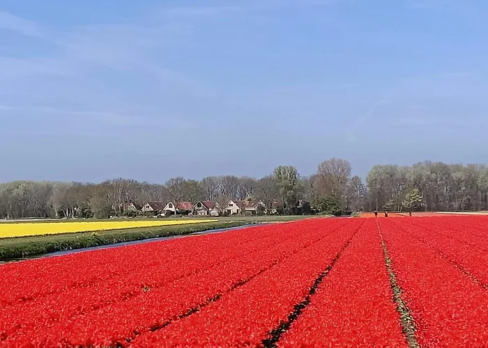 Tapuit 8-1 By Interhome Kompleks wypoczynkowy Noordwijk