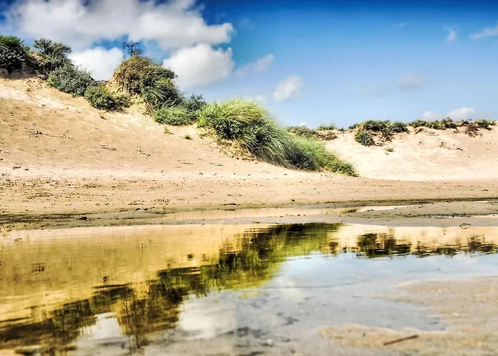 Tapuit 8-1 By Interhome ノールトウェイク